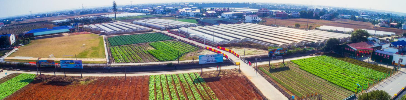 長沙研學旅行基地