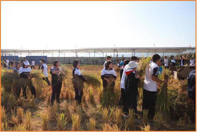 長(zhǎng)沙研學(xué)旅行基地-梅田湖 長(zhǎng)沙研學(xué)旅行基地-梅田湖