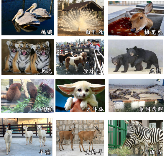 長沙研學(xué)旅行基地--雷鋒研學(xué)基地 長沙研學(xué)旅行基地--雷鋒研學(xué)基地