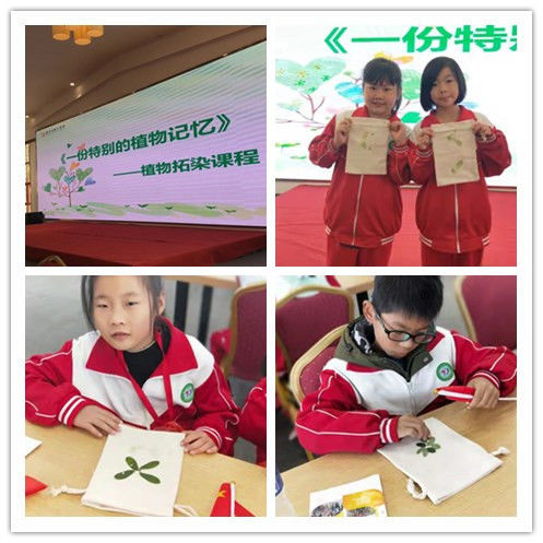 長沙研學旅行基地--盤龍大觀園