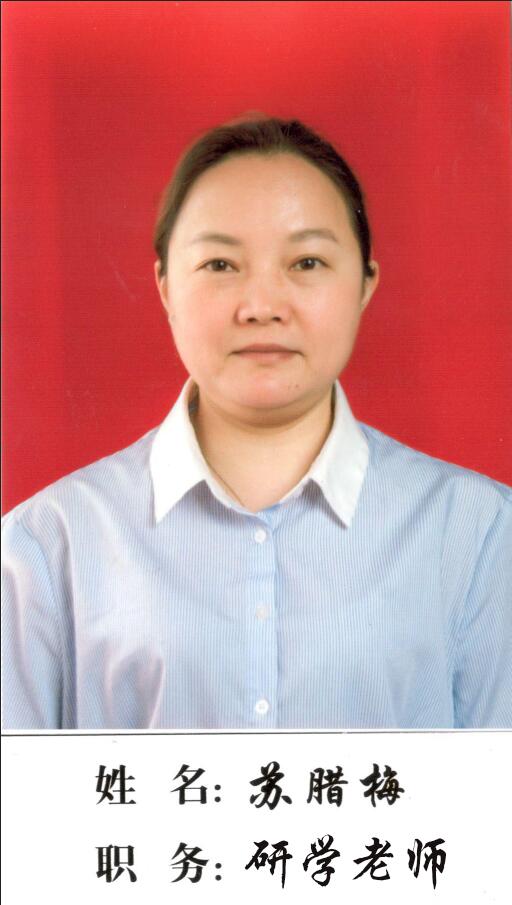 團(tuán)隊(duì)師資—湖南研學(xué)旅行網(wǎng)