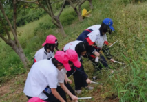 小學(xué)研學(xué)旅行活動方案設(shè)計