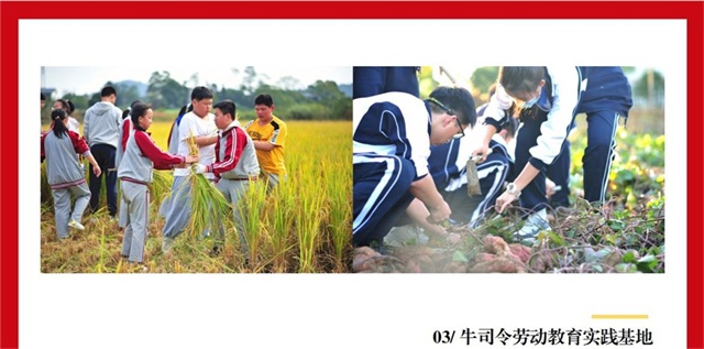 1617160739731098.jpg 1617160739731098.jpg